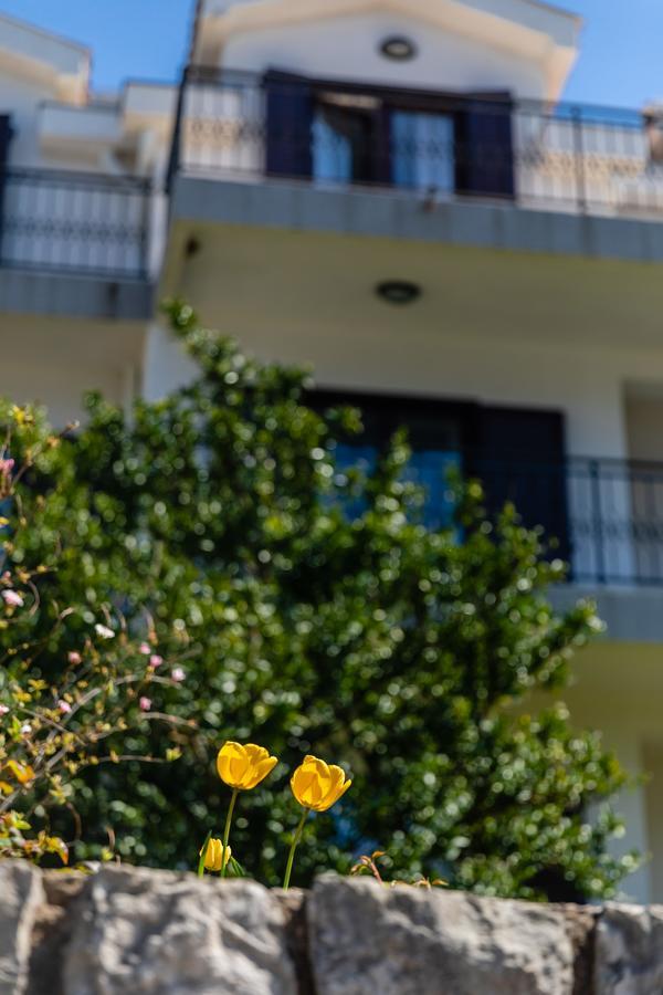 Apartments Miramar Котор Екстер'єр фото